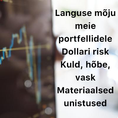 Börsijutud #73 - Languse mõju meie portfellidele, dollari risk, toormed, materiaalsed unistused