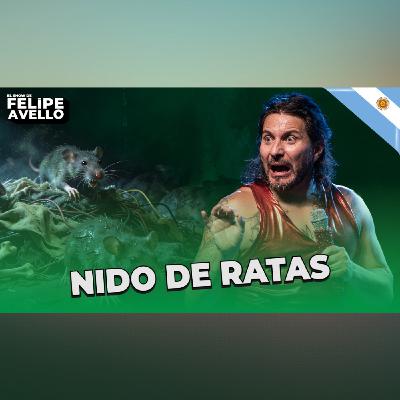 Nido De Ratas