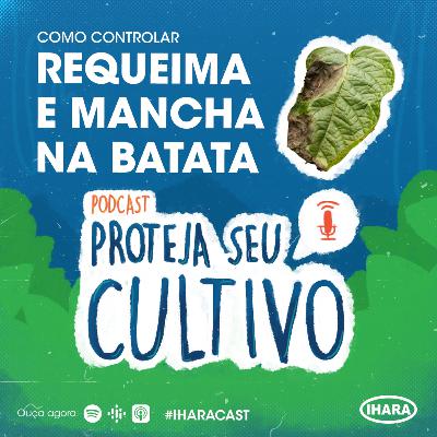 # 10 - Requeima e Mancha da Batata