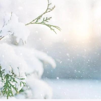 15. Dezember 15. Dezember