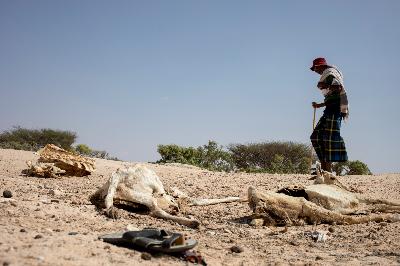 Food Insecurity in the Horn of Africa