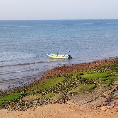 روی موج احساس خوب هستیم