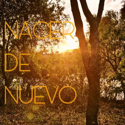Trailer del Episodio 31- Maria Templo, Trono y Sagrario de la Santísima Trinidad