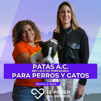 Ep.69 PATAS AC: Refugio de esperanza para perros y gatos