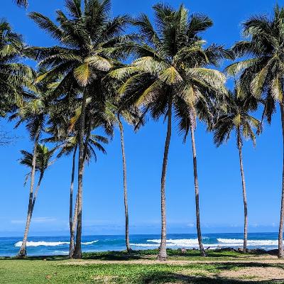 שבוע 53 + 54 - שגרפובליקה הדומיניקנית