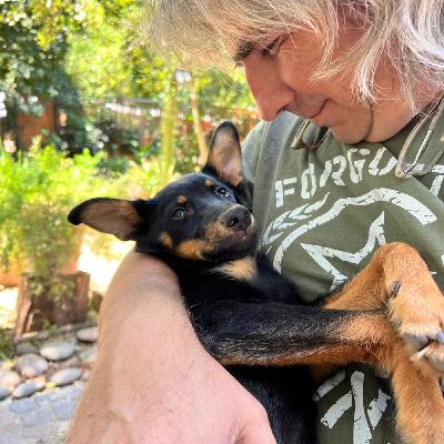 "Suerte" busca una familia: y si la auyudamos?