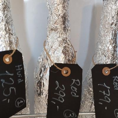 En by med stumt G En by med stumt G