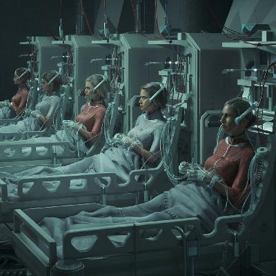 In 2054 Living in Virtual Reality