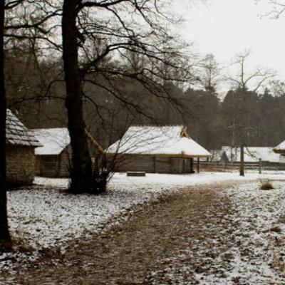 Matryoshka 3.3 - Blackcurrants for the Devil Matryoshka 3.3 - Blackcurrants for the Devil