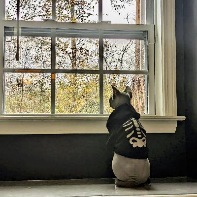 Are You Having Any Fun?