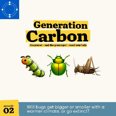 Will bugs get bigger or smaller with a warmer climate, or go extinct?