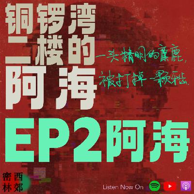 铜锣湾二楼的阿海(中):阿海|西郊密林2025年终特别节目 铜锣湾二楼的阿海(中):阿海|西郊密林2025年终特别节目