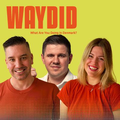 118 | Where Your Tax Money Goes in Denmark and How to Have Your Say