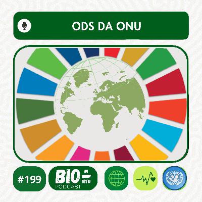 199 - ODS da ONU 199 - ODS da ONU
