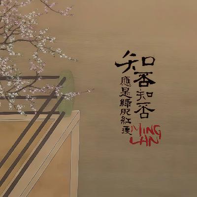 明兰：“他们都不敢豁出去，可是我敢！”太好了，明兰从不是真懦弱