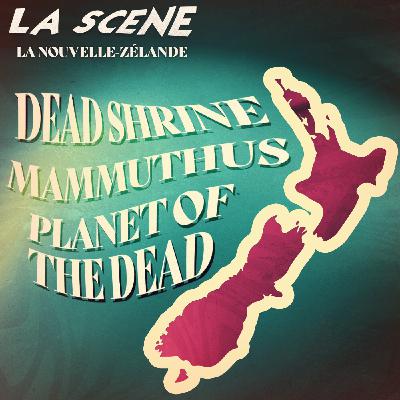 Episode n°44 : La Nouvelle-Zélande 🇳🇿