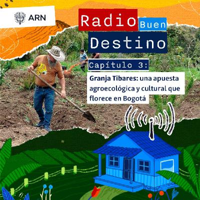 Granja Tíbares: una apuesta agroecológica y cultural que florece en Bogotá Granja Tíbares: una apuesta agroecológica y cultural que florece en Bogotá