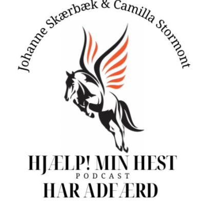 Hestesnak: Fintun din hestehjerne til indlæring
