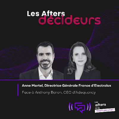 #141 Electrolux France : piloter la transformation d’un acteur centenaire