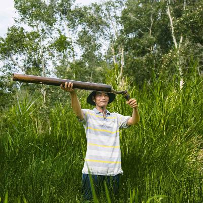 Người cũ cảnh xưa: Chim trời, cá nước, rau đồng Bài 5: Đặt trúm lươn rừng U Minh