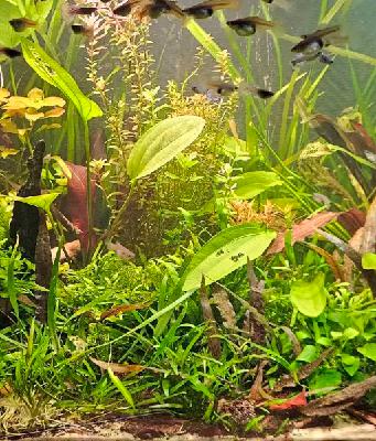 Aquarium Setup Part 1