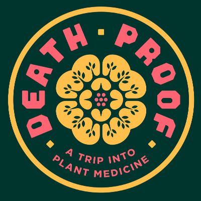 Dylan: Esoteric Reflections