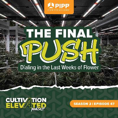 047: The Final Push: Dialing in the Last Weeks of Flower