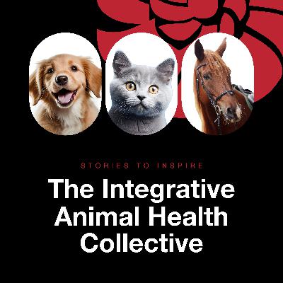 Kathy Tupper: osteopathy from humans to animals Kathy Tupper: osteopathy from humans to animals