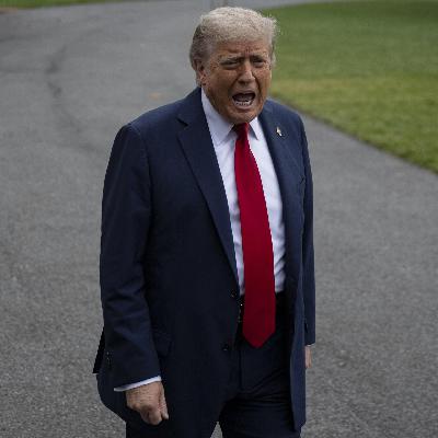 Quotenbringer und Klickgarant - Medienliebling Donald Trump