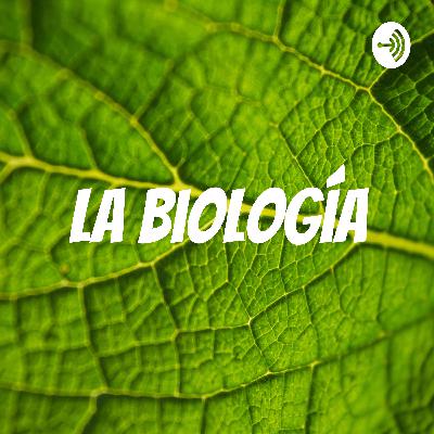 Índice T.2 Estructura de la Tierra y métodos de estudio