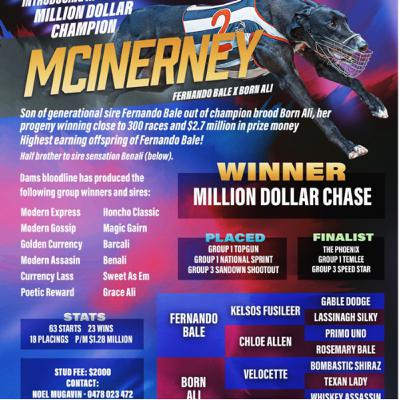 Episode with Owner of 2022 Million Dollar Chase Winner Mcinerney, Noel Mugavin.