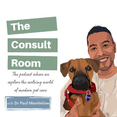 How Old Is Your Dog in Human Years? Why the 7-Year Rule Is Wrong.