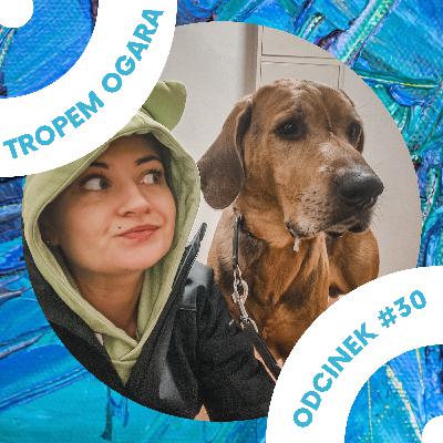 #30 Forysiowe Osobliwości - cz. 1 Jedzenie