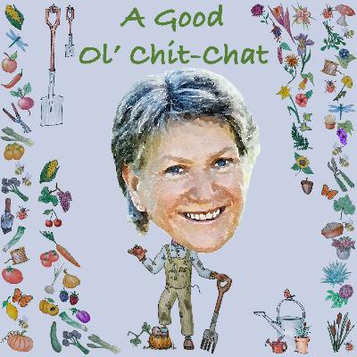 Ep49: A Good Ol' Chit-Chat With... Liz Zorab