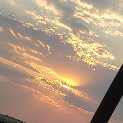 Frogs are all around! Frogs are all around!