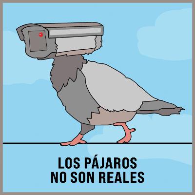 Los pájaros no son reales Los pájaros no son reales