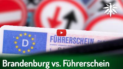 Bundesrat: Brandenburg vs. Führerschein | DHV-News # 478