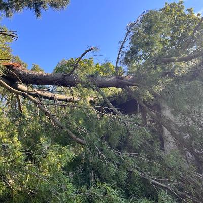 Podcast finale: A team with high marks in engagement walks the walk in real life Podcast finale: A team with high marks in engagement walks the walk in real life