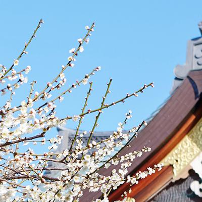 Episode 19: Portamento On Air #19 Episode 19: Portamento On Air #19