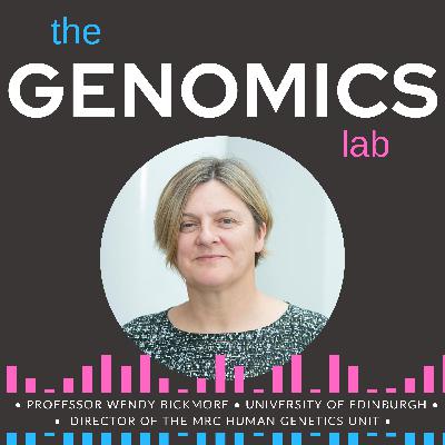 Remote control of gene expression: enhancers and the 4D genome with Professor Wendy Bickmore