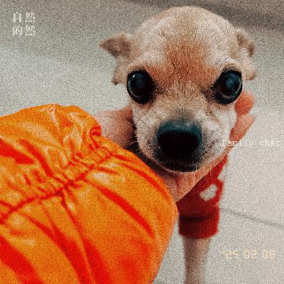 31. 声音纪念馆丨我爱你，对此我毫不怀疑。