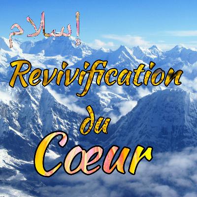 Conseils pratiques pour entretenir un lien quotidien avec le Coran 2 (réflexion personnelle)