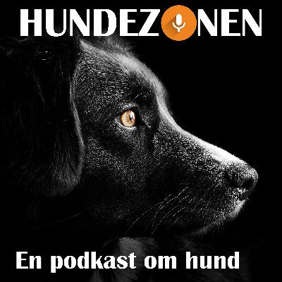 Min hund bjeffer på andre hunder
