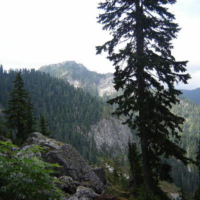 346. A quick observation from The Forest π (A house can be a Home) 346. A quick observation from The Forest π (A house can be a Home)
