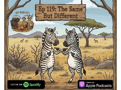 Ep 119: The Same But Different Ep 119: The Same But Different