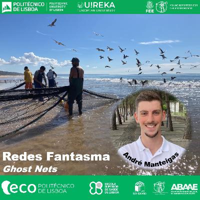 Redes Fantasmas 🕸️👻🐠André Manteigas (NOVA.FCT - MARE)