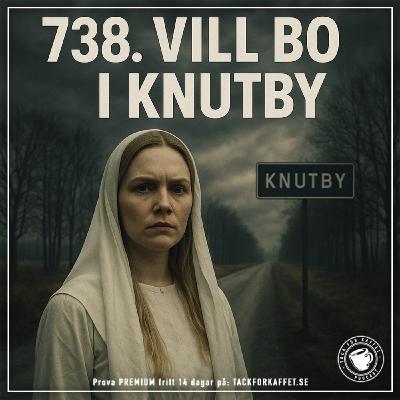 738. Vill bo i Knutby.
