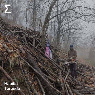 Habitat – Torpedo