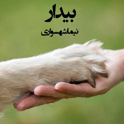 کتاب صوتی طغیان: شعر «بیدار»؛ از ناامیدی تا نجات خود و حیوانات