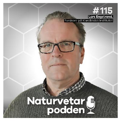 #115 Lars Engstrand – Mikrofloran får mer än magen att må bra